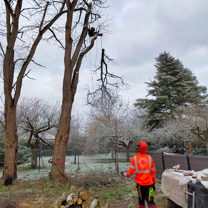 Entretien espaces verts à Jouy en Eure-et-Loir